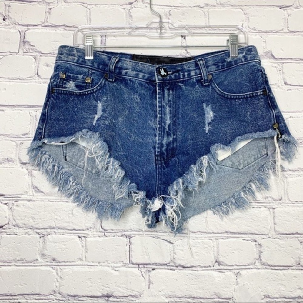 One Teaspoon High Rise Cut Off Jean Shorts 29